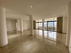 The Colonnade (D10), Condominium #469865201